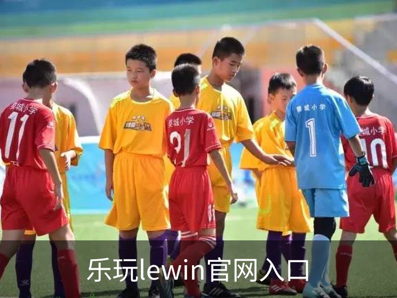 乐玩lewin官网入口介绍